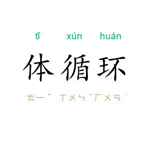 体循环