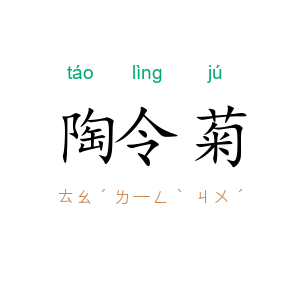 陶令菊