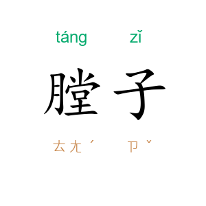 膛子