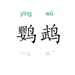 鹦鹉