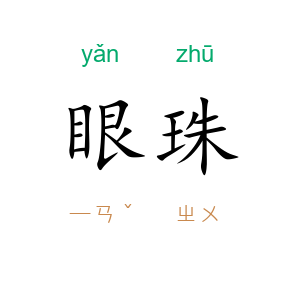 眼珠