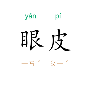 眼皮