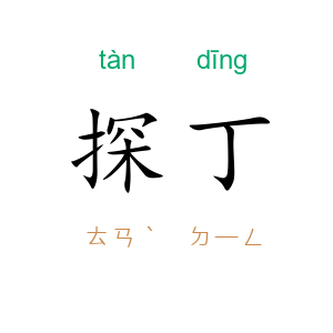 探丁