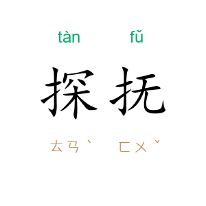 探抚