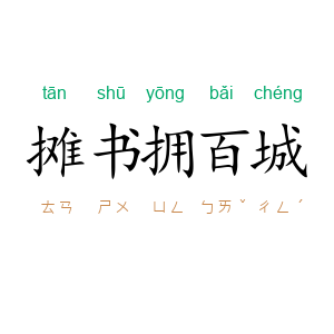 摊书拥百城