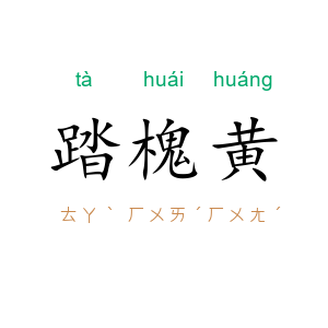 踏槐黄