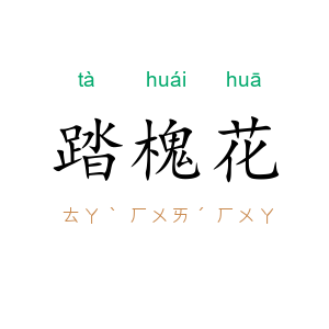 踏槐花
