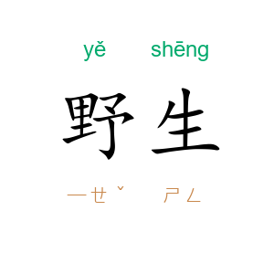 野生