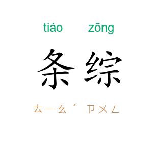 条综