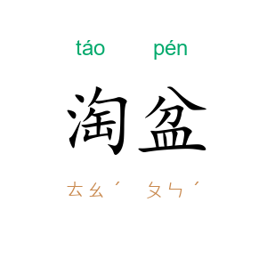 淘盆