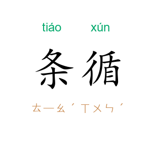 条循