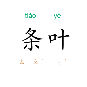 条叶