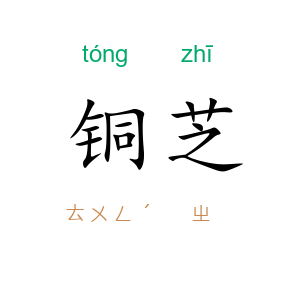铜芝