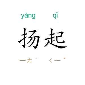 扬起