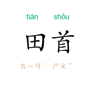 田首