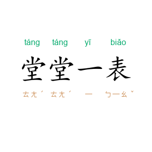 堂堂一表
