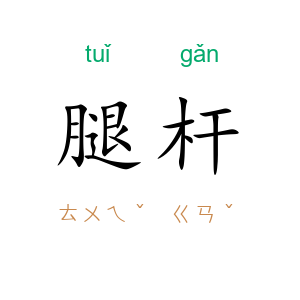 腿杆