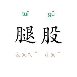 腿股