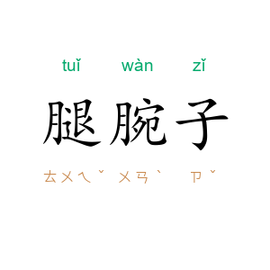 腿腕子