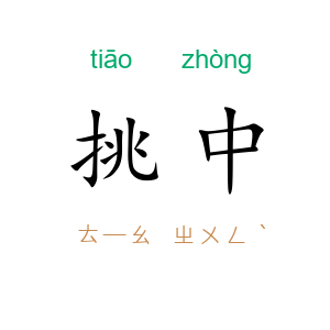 挑中