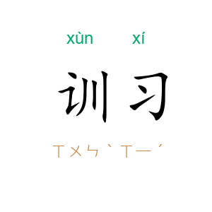 训习