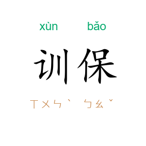 训保