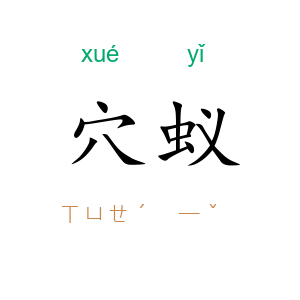 穴蚁
