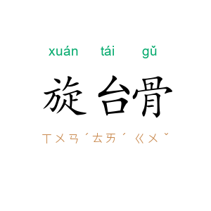 旋台骨