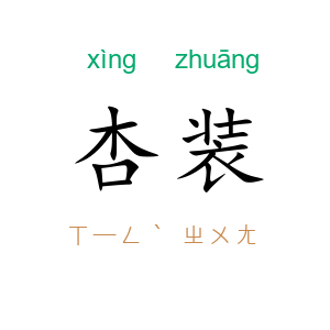 杏装