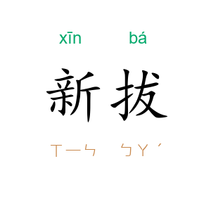 新拔