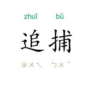 追捕