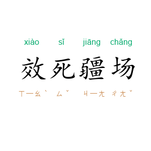 效死疆场