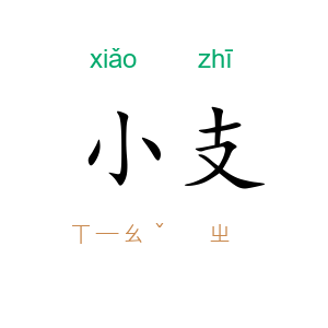 小支