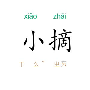 小摘