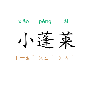 小蓬莱