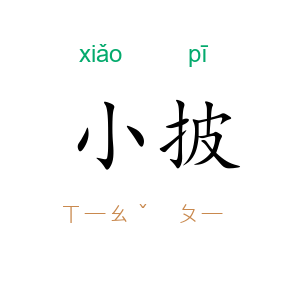 小披