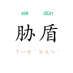 胁盾