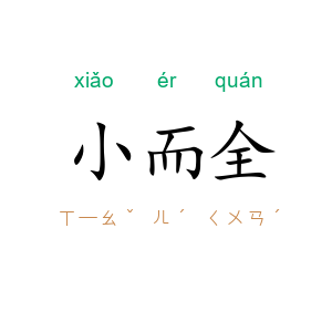 小而全