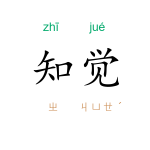 知觉