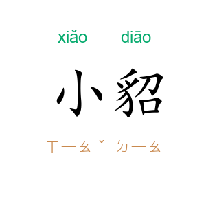 小貂