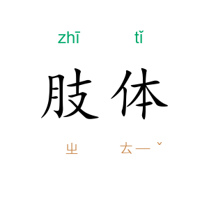 肢体