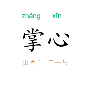 掌心