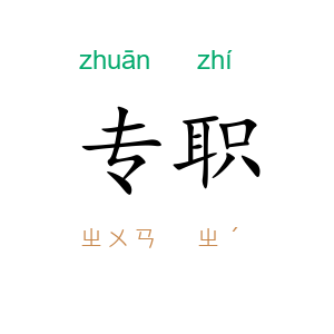 专职