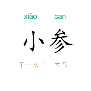 小参