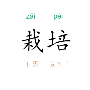 栽培