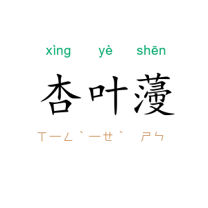 杏叶薓