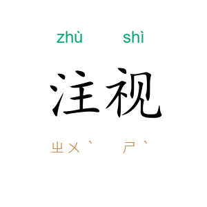 注视