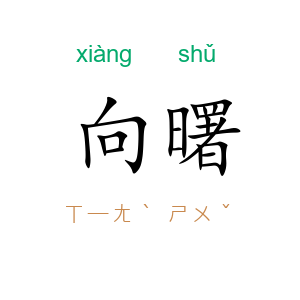 向曙