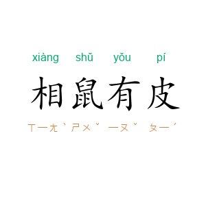 相鼠有皮