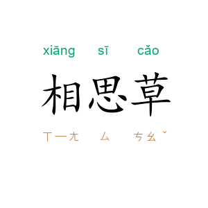 相思草